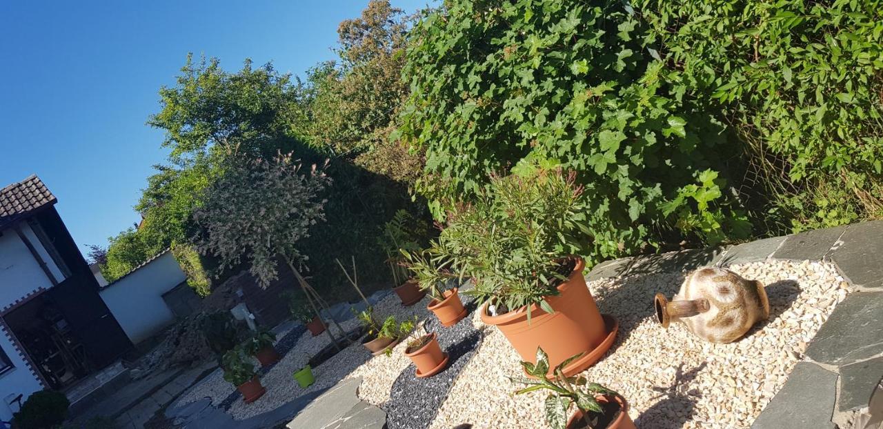 Ferienwohnung-Wald Wald  المظهر الخارجي الصورة